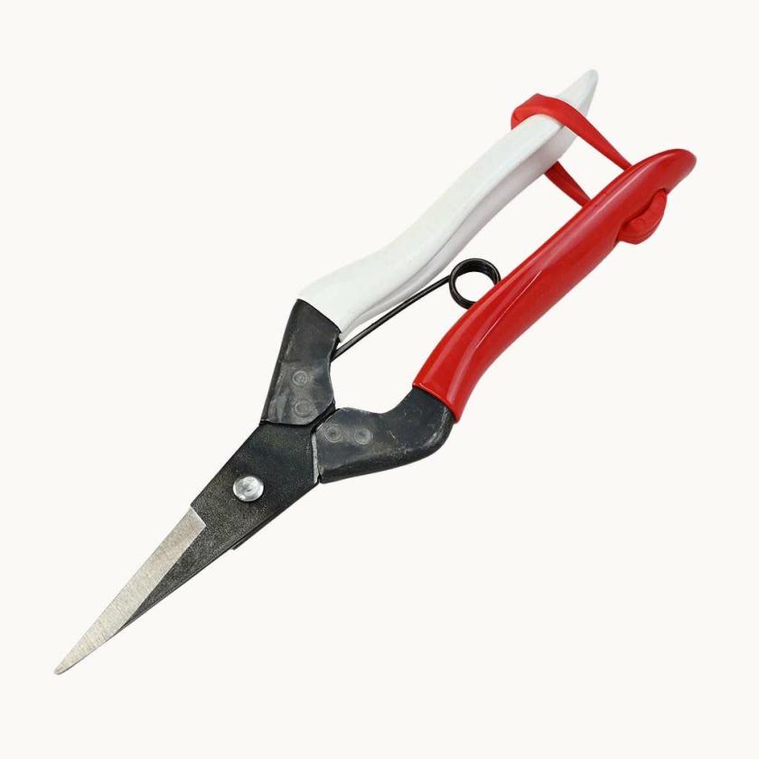 Pruning Tools | Pointed Thinning Shears Pruning Tools Pruning Tools